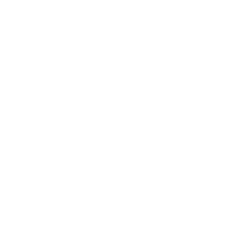 logo de welle