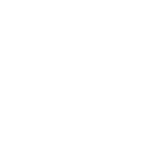 logo viavie