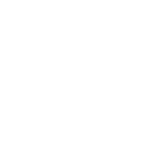 logo wijz welzijn